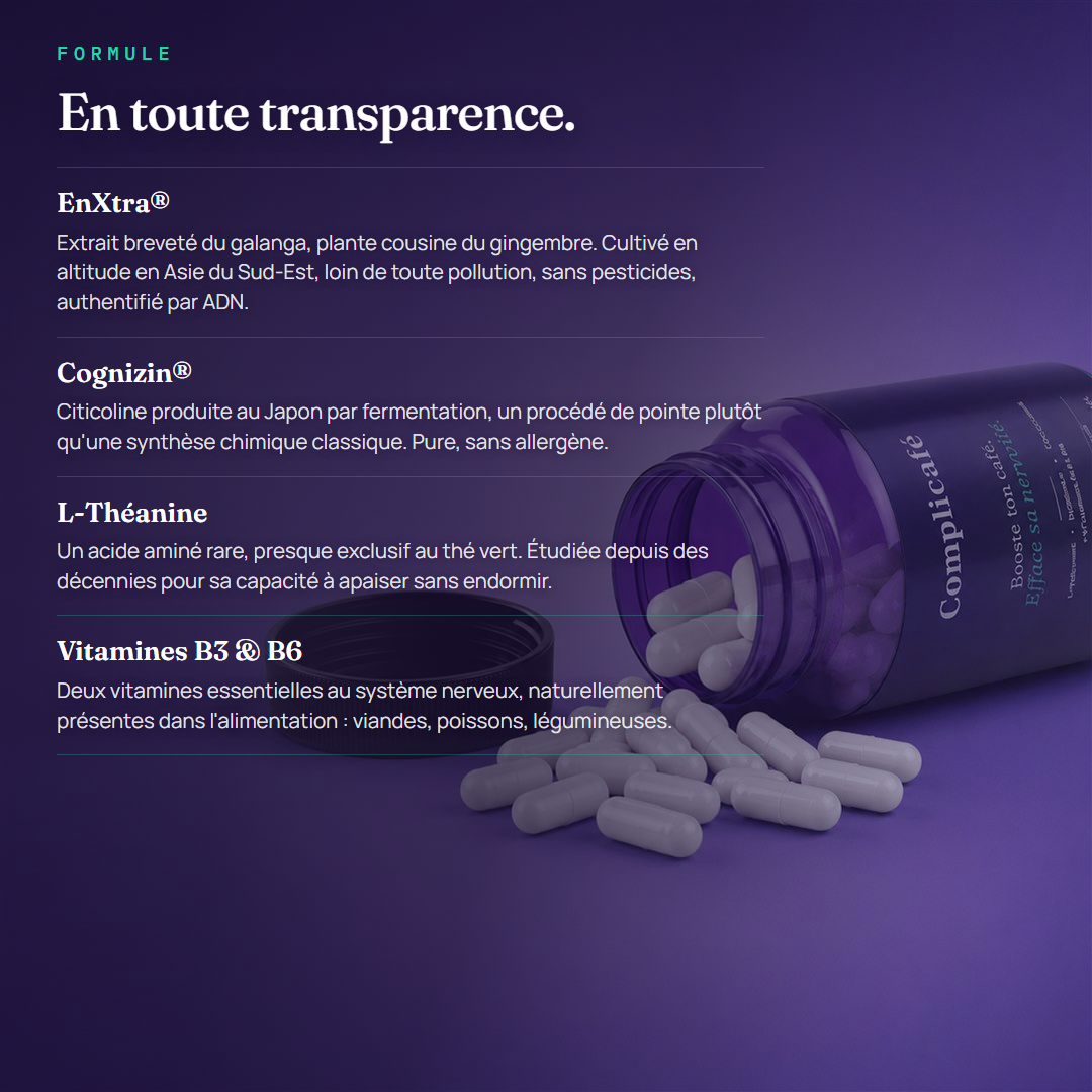 Les quatre actifs de Complicafé : EnXtra® galanga authentifié par ADN, Cognizin® citicoline japonaise, L-Théanine de thé vert, vitamines B3 et B6